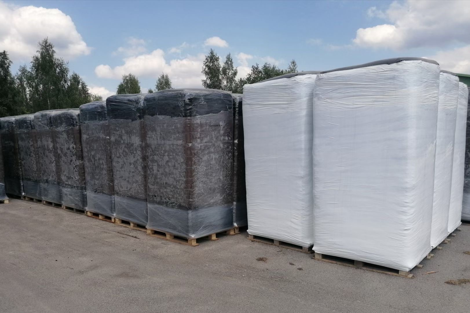 M(jn)̿uۈ(bo)P(gun)˾